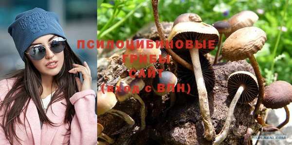 метадон Сатка