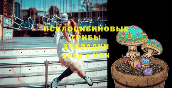 дурь Майский